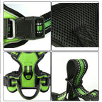 Green and black dog harness with detailed views of materials and design.