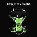 Green dog harness with reflective material on a black background