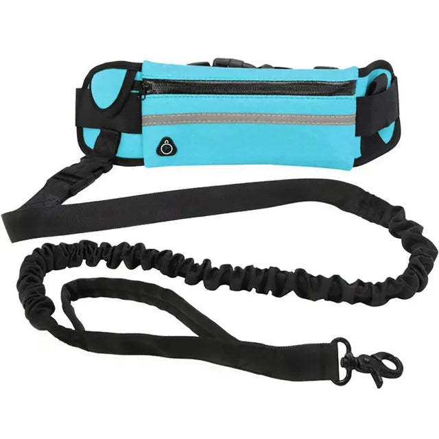 Blue hands free leash with a long black leash on a white background