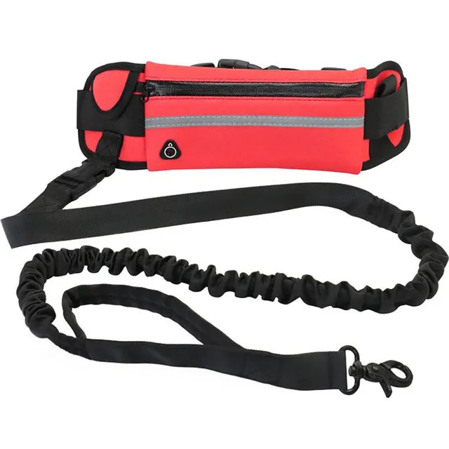 Red hands free leash with a long black leash showing dimensions on a white background