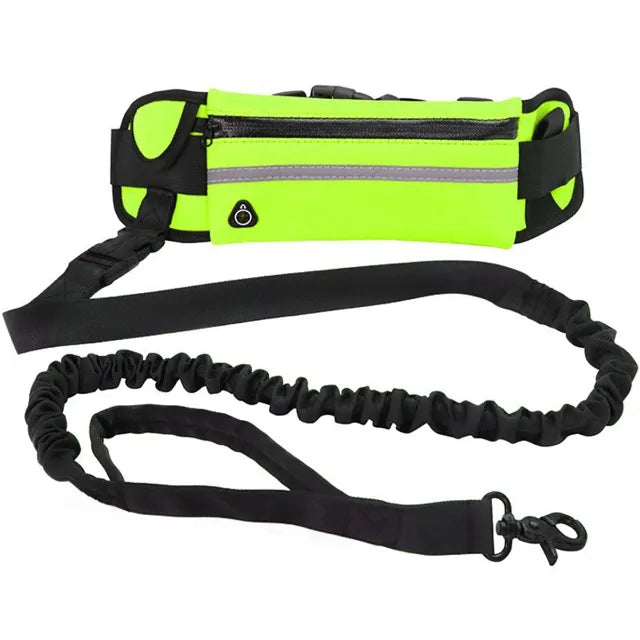 Green hands free leash with a long black leash showing dimensions on a white background