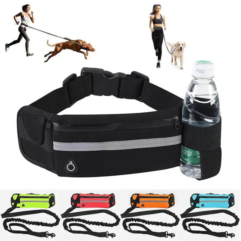 Black hands free dog leash with reflective strip, water bottle, and colored dog leashes on a white background