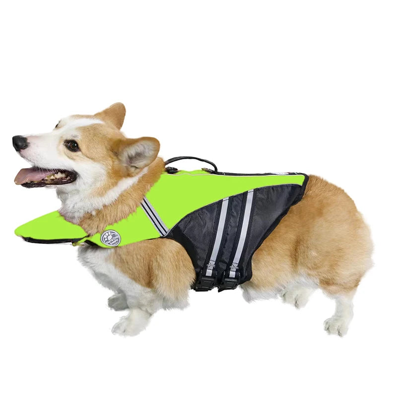 Dog wearing a green and black life jacket on a white background