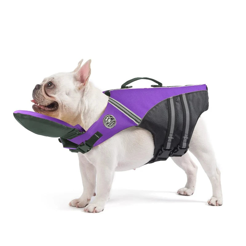White dog wearing a purple and black life jacket on a white background