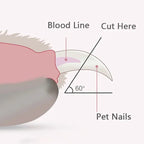 Diagram showing how to trim a pet's nails with labeled blood line and cut angle.