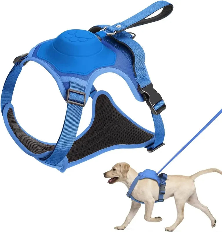 Dog wearing blue harness with built in retractable leash and close-up of the harness on a white background
