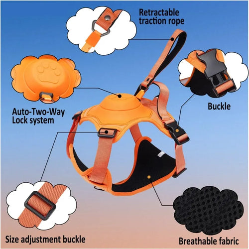 Orange dog harness with labeled features on a blue and pink gradient background