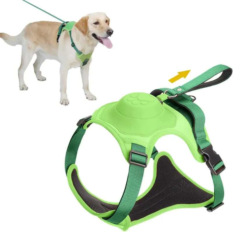 Dog wearing green harness with built in retractable leash and close-up of the harness on a white background