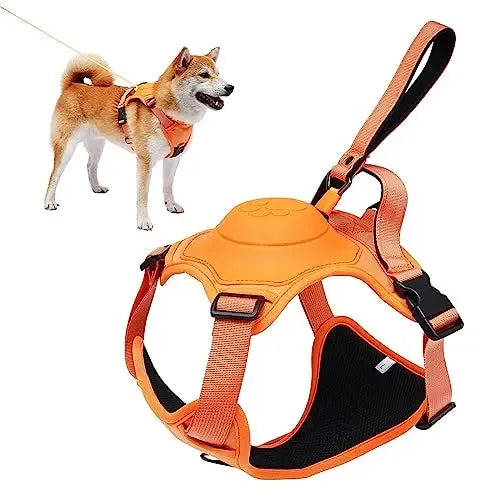 Dog wearing orange harness with built in retractable leash and close-up of the harness on a white background