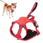 Dog wearing red harness with built in retractable leash and close-up of the harness on a white background