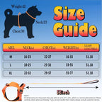 Dog harness size guide with measurements for neck, chest, weight, and leash length on a blue background.
