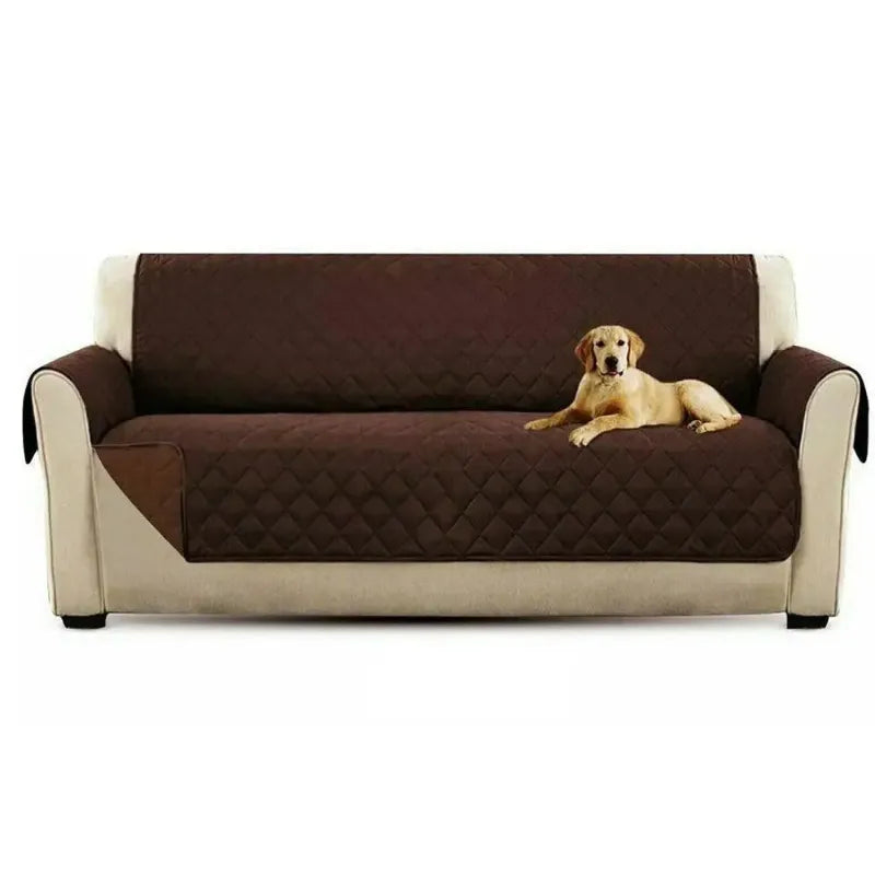 Dog lying on a brown waterproof sofa cover with a white background